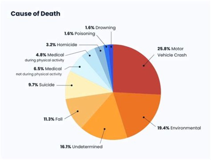 Sara Laboissonniere Car Accident: Cause of Death – What Happened To Her?